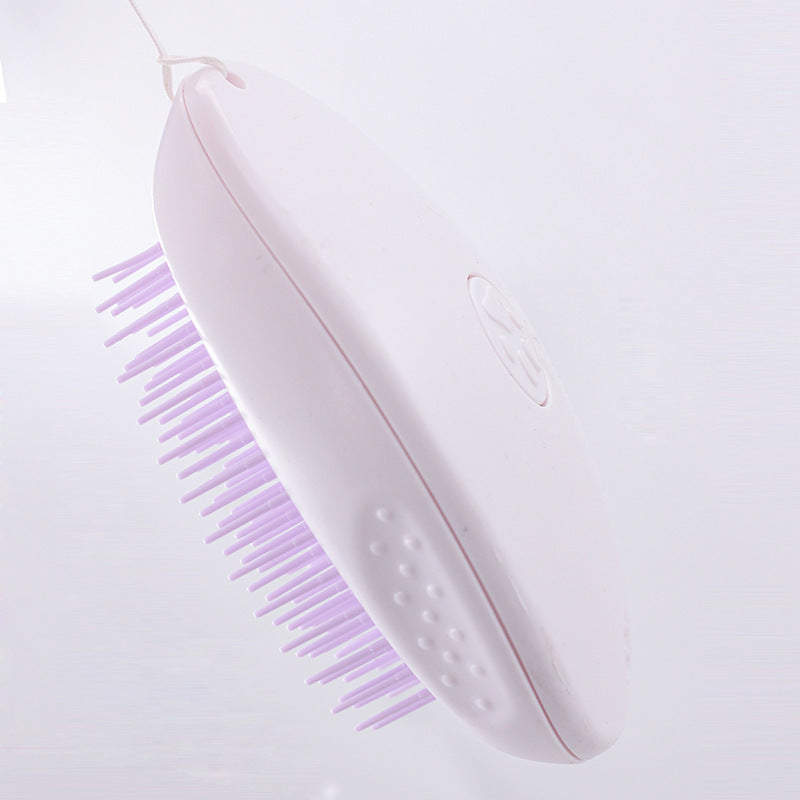 Brush Brush Cat Hair White Pet